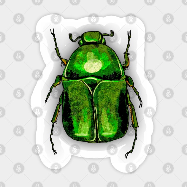 Bugs-15 Rose Chafer Sticker by Komigato